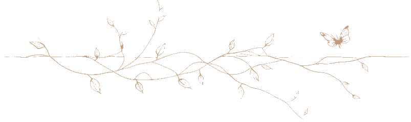 separator